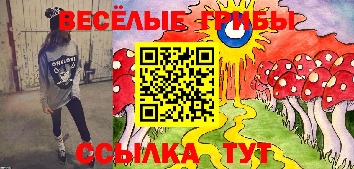 Сыктывкар  Галлюциногенные грибы Cubensis  Вход с VPN 