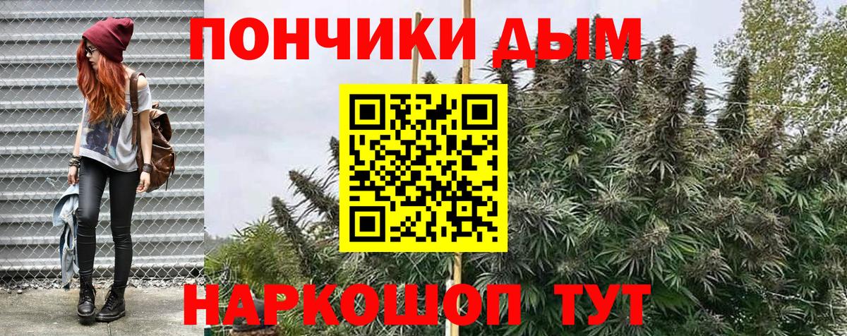 Каннабис сатива Сыктывкар